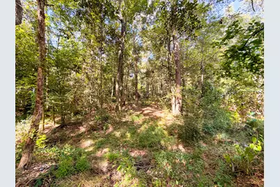 19124 Leicester, New Caney, TX 77357 - Photo 9