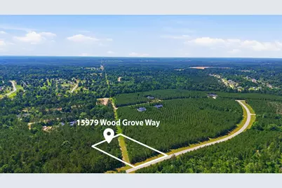 15979 Wood Grove Way, Willis, TX 77378 - Photo 13