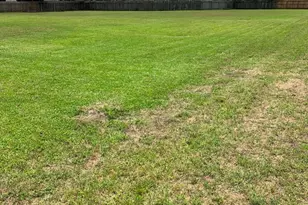 12202 Gainsborough Dr, Houston, TX 77031 - Photo 3