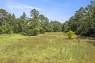 13782 Fm 421, Kountze, TX 77625 - Photo 45