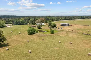 8279 State Hwy 19 S, Lovelady, TX 75851 - Photo 29