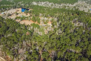 17354 FM350N, Moscow, TX 75960 - Photo 35