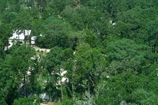 140 Oak Cir, Livingston, TX 77351 - Photo 37