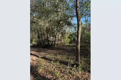 15726 Holly Drive, Montgomery, TX 77356 - Photo 1