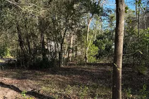 15726 Holly Dr, Montgomery, TX 77356 - Photo 1