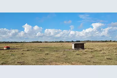 11700 Fm 2004, Alvin, TX 77510 - Photo 7