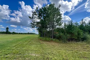 T-22B State Hwy 94, Groveton, TX 75845 - Photo 1