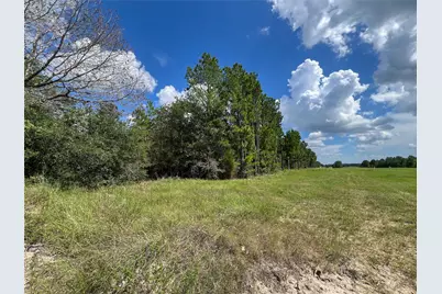 T-22B State Highway 94, Groveton, TX 75845 - Photo 3