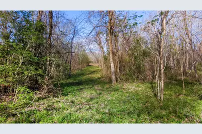 3979 Felder Road, Washington, TX 77880 - Photo 11