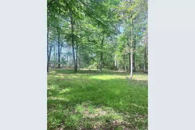 124 Magnolia Lane, Huntsville, TX 77340 - Photo 11