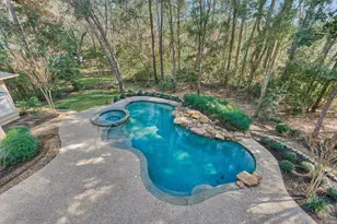 43 Meadow Brook Pl, Spring, TX 77382 - Photo 43