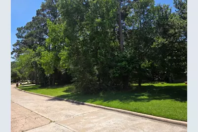3303 Hemingway Drive, Montgomery, TX 77356 - Photo 7