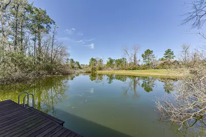10 Raccoon Ramble, Cleveland, TX 77327 - Photo 49