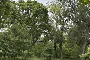 923 Y. U. Jones Rd, Richmond, TX 77469 - Photo 47