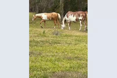 923 Y U Jones Road, Richmond, TX 77469 - Photo 49