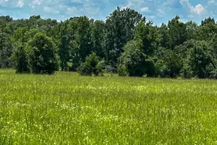 3 Hwy 7 W, Crockett, TX 75835 - Photo 1