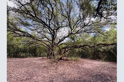 4400 Klekar-Gin, Schulenburg, TX 78956 - Photo 17