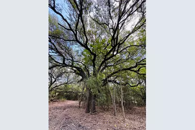 4400 Klekar-Gin, Schulenburg, TX 78956 - Photo 13