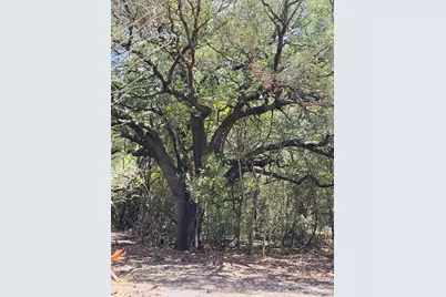 4400 Klekar-Gin, Schulenburg, TX 78956 - Photo 23