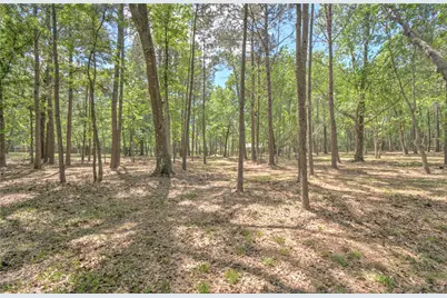 15508 Crown Oaks Drive, Montgomery, TX 77316 - Photo 39
