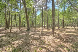 15508 Crown Oaks Dr, Montgomery, TX 77316 - Photo 39