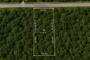 4556 Road 66112, Dayton, TX 77535 - Photo 1