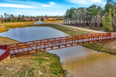 407 N Copa Palm Loop, Montgomery, TX 77316 - Photo 47