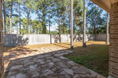 99 W Jagged Ridge Circle, Spring, TX 77389 - Photo 27
