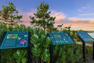 20728 Central Concave Dr, New Caney, TX 77357 - Photo 25