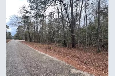 0 Road 2746, Cleveland, TX 77327 - Photo 3