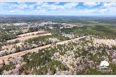 Lot 5 John Warren Road, Coldspring, TX 77331 - Photo 15