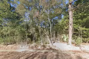 0 Pin Oak Ln, Houston, TX 77336 - Photo 1