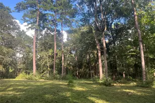 30403 Walnut Creek Rd, Magnolia, TX 77355 - Photo 5