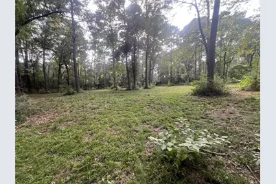 30403 Walnut Creek Road, Magnolia, TX 77355 - Photo 7