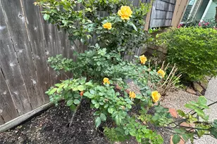 16120 Stuebner Airline Rd, Spring, TX 77379 - Photo 17