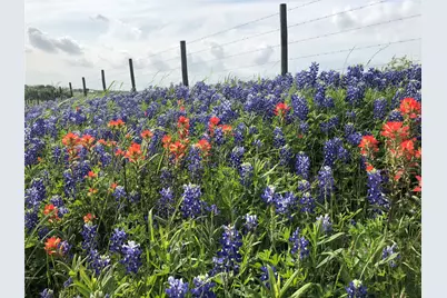6700 Fm-50, Brenham, TX 77833 - Photo 1