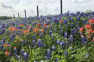 6700 FM 50, Brenham, TX 77833 - Photo 1
