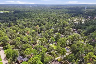 2119 Thousand Pines Dr, Houston, TX 77339 - Photo 29