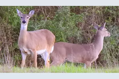 2400 Coronado Estates, Bryan, TX 77808 - Photo 13