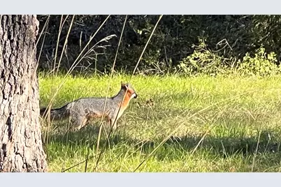 2400 Coronado Estates, Bryan, TX 77808 - Photo 17