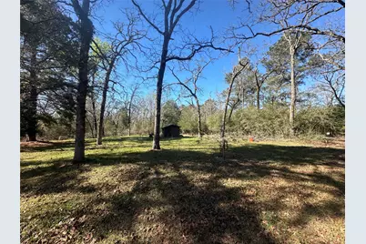 12035 County Road 259, Buffalo, TX 75831 - Photo 5