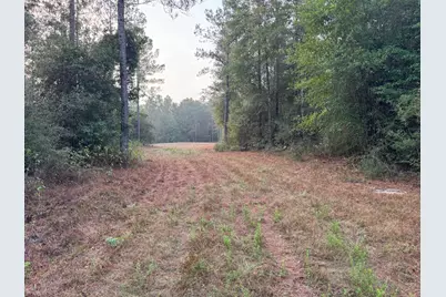 795 County Road 4416, Spurger, TX 75979 - Photo 7