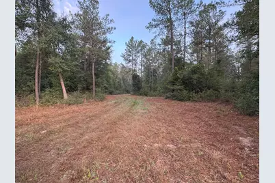 795 County Road 4416, Spurger, TX 75979 - Photo 9