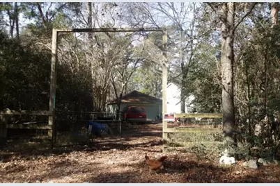 30503 Klein Drive, Magnolia, TX 77355 - Photo 5