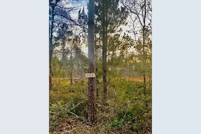 396 County Road 4455, Woodville, TX 77664 - Photo 3