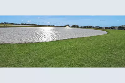 103 Lily Lane, Rosharon, TX 77583 - Photo 45