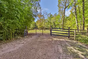 141 Walnut Dr, Coldspring, TX 77331 - Photo 5