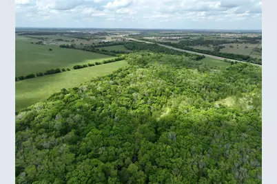 10463 Highway 36, Bellville, TX 77418 - Photo 7