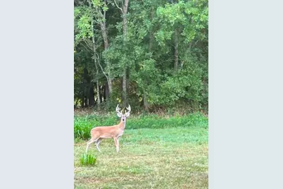 10463 Highway 36, Bellville, TX 77418 - Photo 17