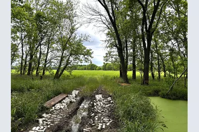 10463 Highway 36, Bellville, TX 77418 - Photo 23